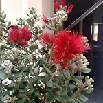 Casuzze Al Duomo Con Vista Valle Dei Templi! Appartement *