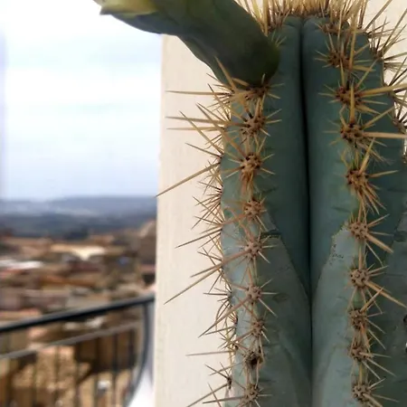 Apartment Casuzza Al Duomo Con Vista Valle Dei Templi!