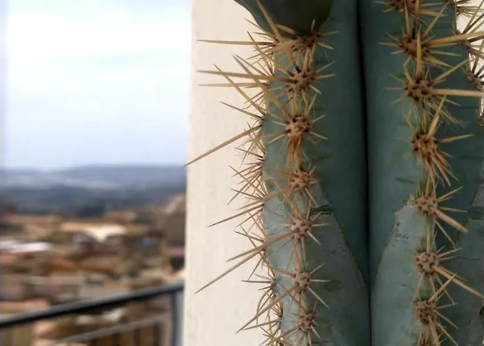 Apartamento Casuzze Al Duomo Con Vista Valle Dei Templi!